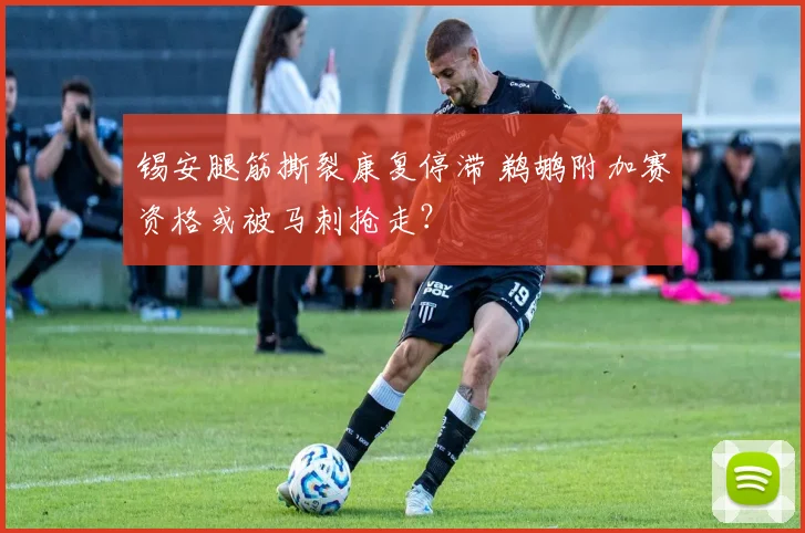 锡安腿筋撕裂康复停滞 鹈鹕附加赛资格或被马刺抢走？